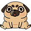 Baby Doug